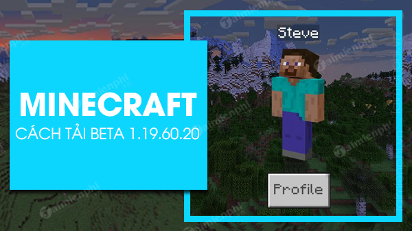 how to play minecraft beta 1 19 60 20